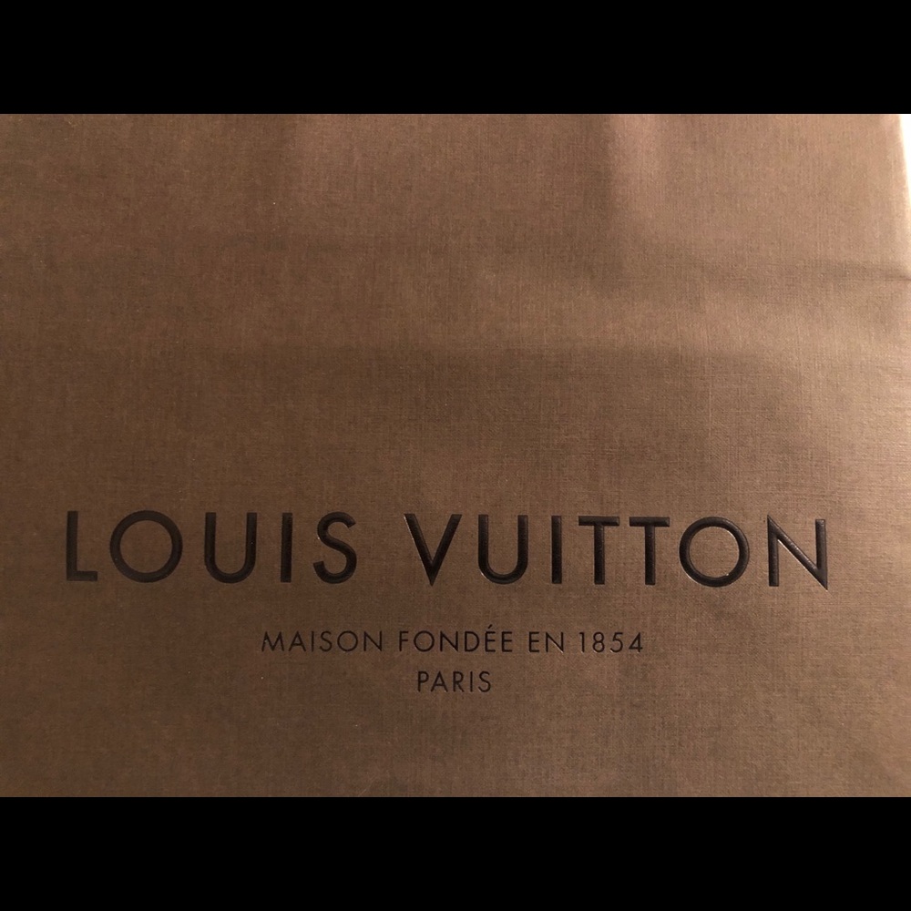 SOLD Louis Vuitton Classic Paper Shopping Bag - Picture 4 of 8